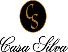 CasaSilva logo